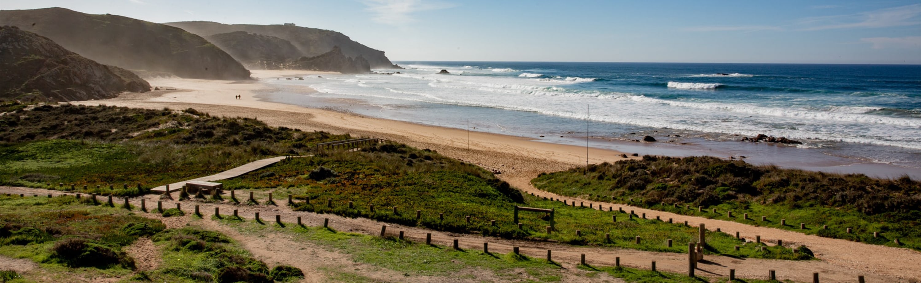 West Coast Safari